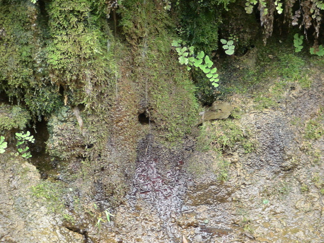 «ö¦¹¦b·sµøµ¡ÂsÄý¹Ï¤ù