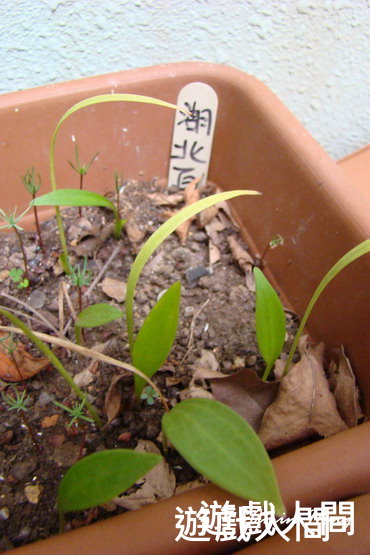 «ö¦¹¦b·sµøµ¡ÂsÄý¹Ï¤ù