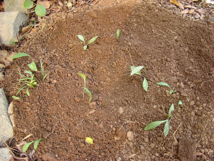 «ö¦¹¦b·sµøµ¡ÂsÄý¹Ï¤ù