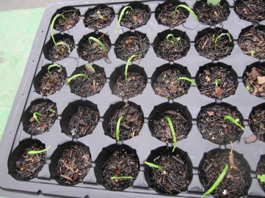 «ö¦¹¦b·sµøµ¡ÂsÄý¹Ï¤ù