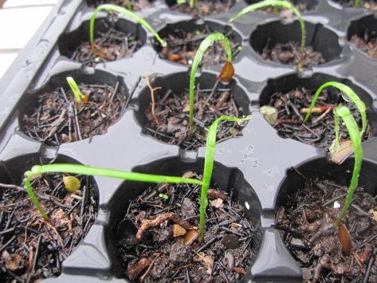 «ö¦¹¦b·sµøµ¡ÂsÄý¹Ï¤ù