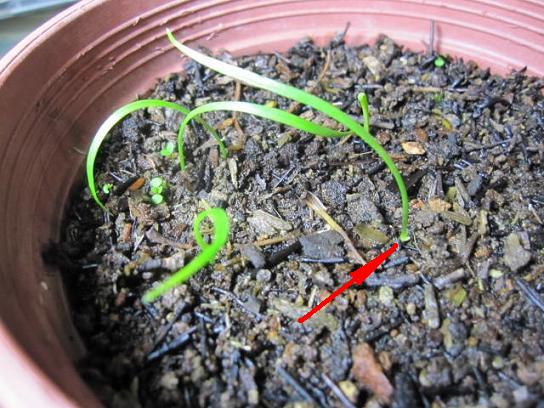 «ö¦¹¦b·sµøµ¡ÂsÄý¹Ï¤ù