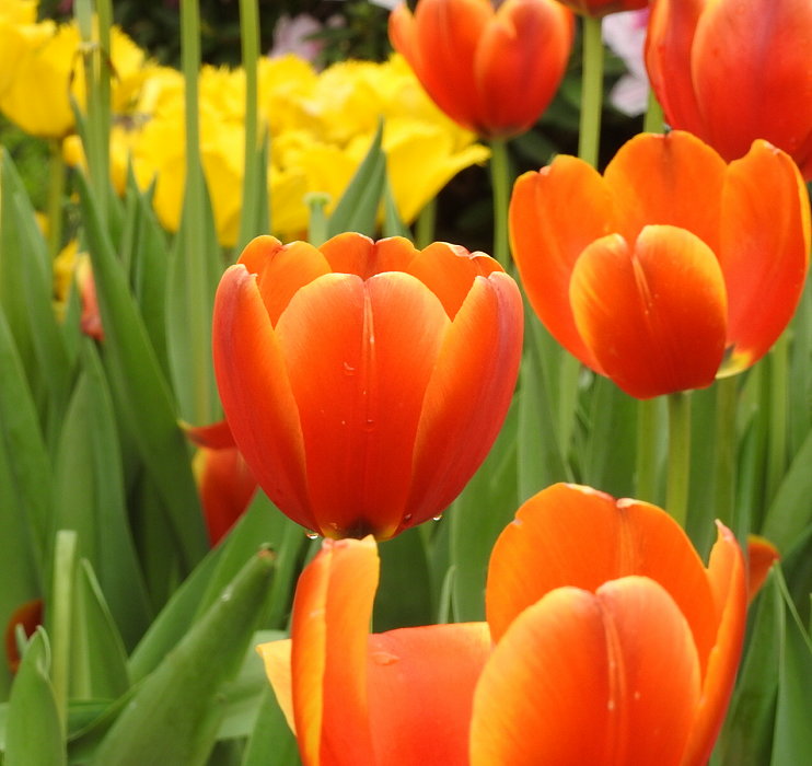 «ö¦¹¦b·sµøµ¡ÂsÄý¹Ï¤ù