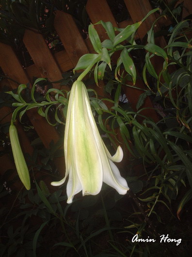 «ö¦¹¦b·sµøµ¡ÂsÄý¹Ï¤ù