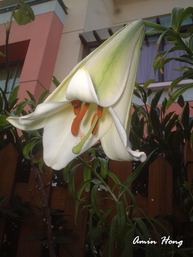 «ö¦¹¦b·sµøµ¡ÂsÄý¹Ï¤ù