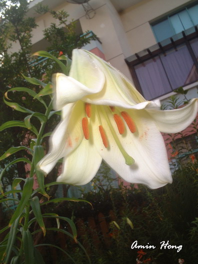 «ö¦¹¦b·sµøµ¡ÂsÄý¹Ï¤ù