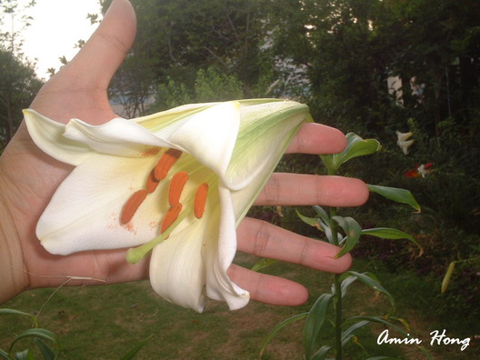 «ö¦¹¦b·sµøµ¡ÂsÄý¹Ï¤ù