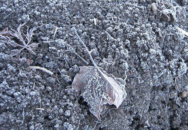 «ö¦¹¦b·sµøµ¡ÂsÄý¹Ï¤ù