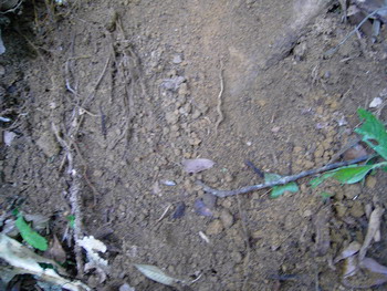 «ö¦¹¦b·sµøµ¡ÂsÄý¹Ï¤ù