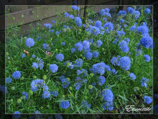 «ö¦¹¦b·sµøµ¡ÂsÄý¹Ï¤ù