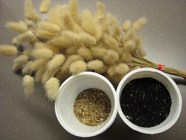 «ö¦¹¦b·sµøµ¡ÂsÄý¹Ï¤ù