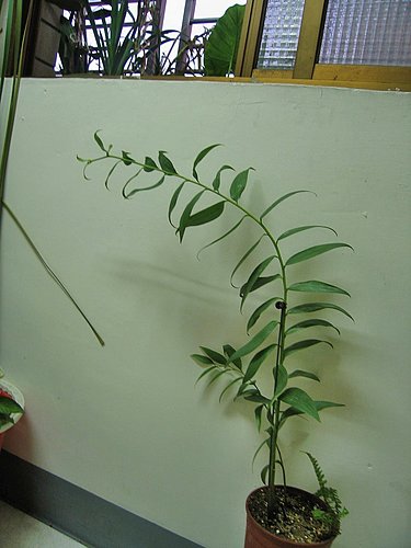 «ö¦¹¦b·sµøµ¡ÂsÄý¹Ï¤ù