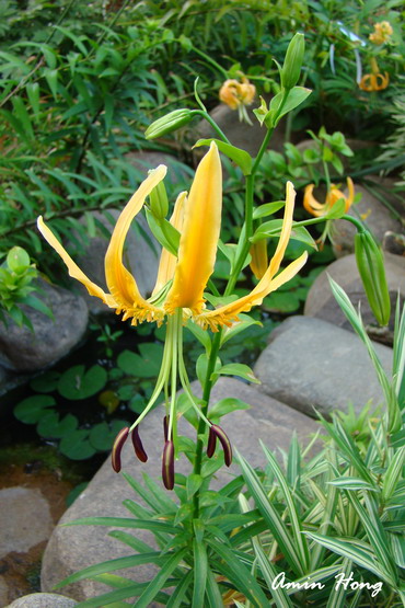 按此在新視窗瀏覽圖片