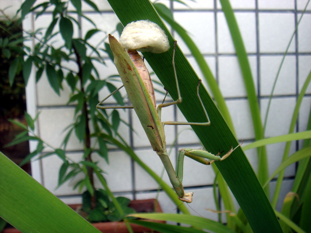 «ö¦¹¦b·sµøµ¡ÂsÄý¹Ï¤ù