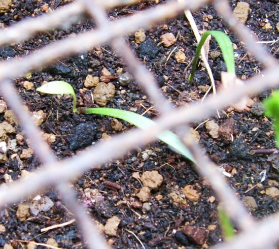 «ö¦¹¦b·sµøµ¡ÂsÄý¹Ï¤ù