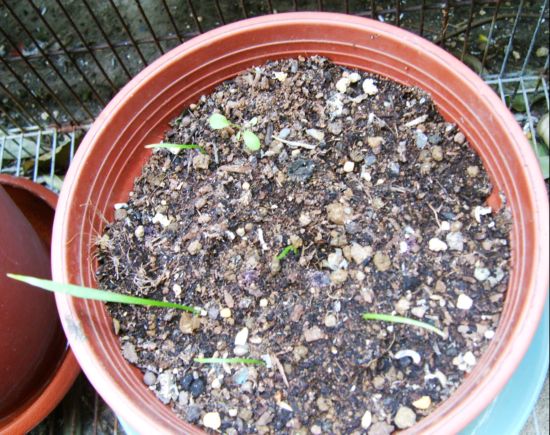 «ö¦¹¦b·sµøµ¡ÂsÄý¹Ï¤ù