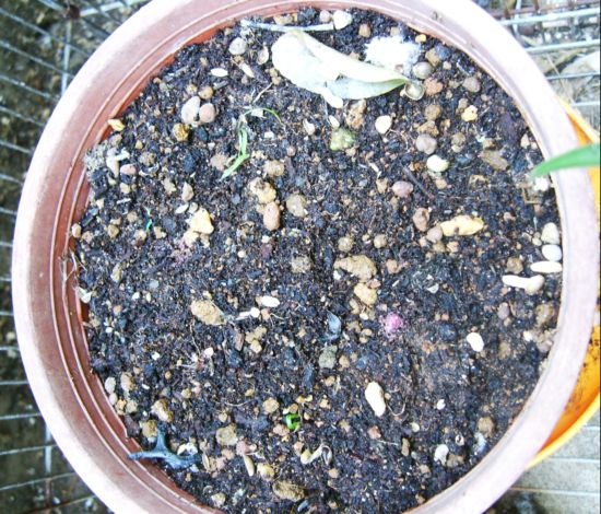 «ö¦¹¦b·sµøµ¡ÂsÄý¹Ï¤ù