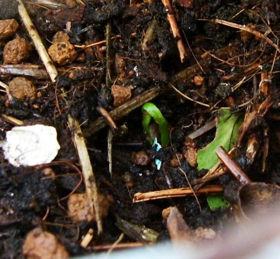 «ö¦¹¦b·sµøµ¡ÂsÄý¹Ï¤ù