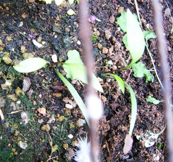 «ö¦¹¦b·sµøµ¡ÂsÄý¹Ï¤ù