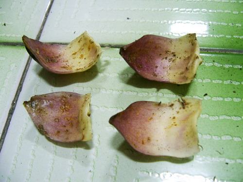 «ö¦¹¦b·sµøµ¡ÂsÄý¹Ï¤ù