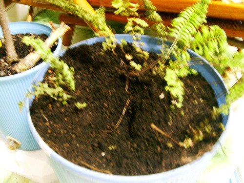 «ö¦¹¦b·sµøµ¡ÂsÄý¹Ï¤ù