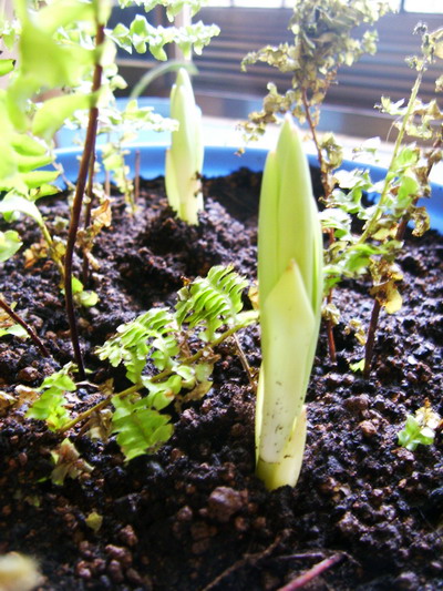 «ö¦¹¦b·sµøµ¡ÂsÄý¹Ï¤ù