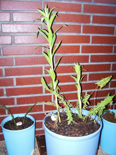 «ö¦¹¦b·sµøµ¡ÂsÄý¹Ï¤ù