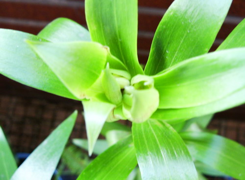 «ö¦¹¦b·sµøµ¡ÂsÄý¹Ï¤ù