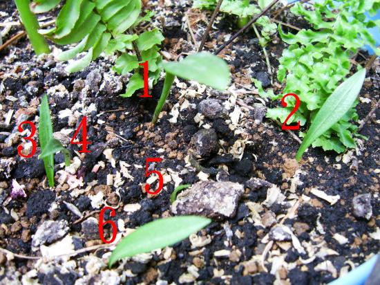 «ö¦¹¦b·sµøµ¡ÂsÄý¹Ï¤ù