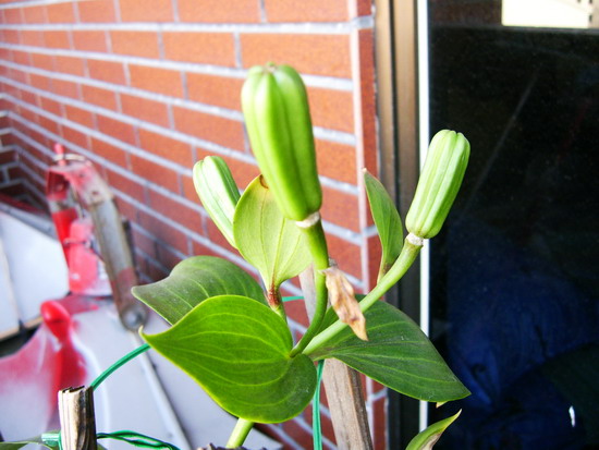 «ö¦¹¦b·sµøµ¡ÂsÄý¹Ï¤ù