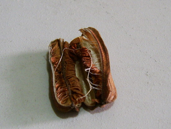 «ö¦¹¦b·sµøµ¡ÂsÄý¹Ï¤ù