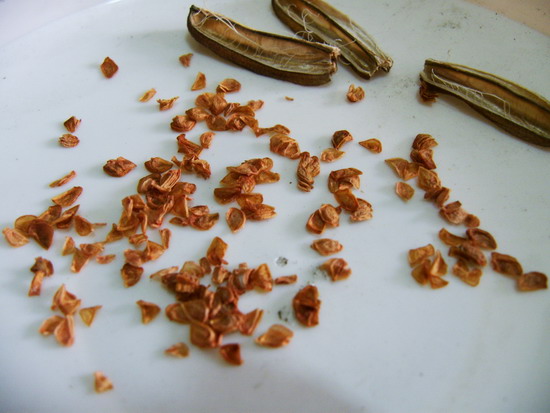 «ö¦¹¦b·sµøµ¡ÂsÄý¹Ï¤ù