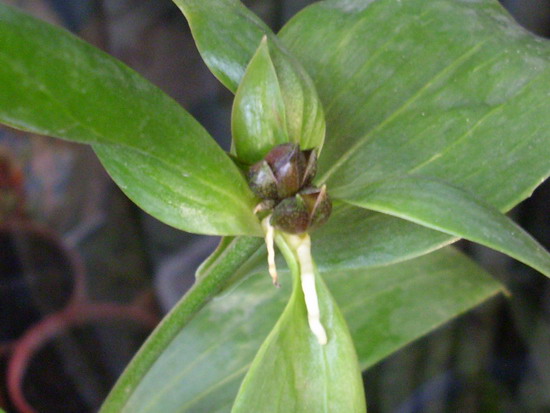 «ö¦¹¦b·sµøµ¡ÂsÄý¹Ï¤ù