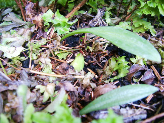 «ö¦¹¦b·sµøµ¡ÂsÄý¹Ï¤ù