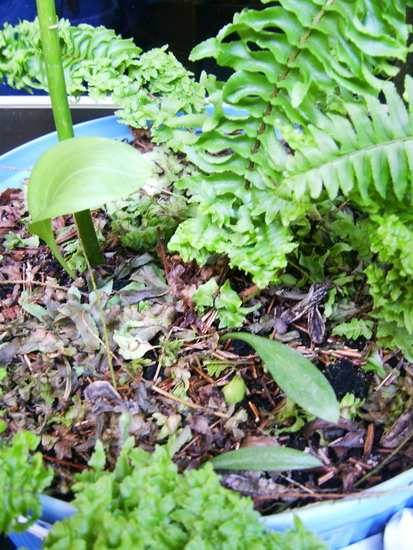 «ö¦¹¦b·sµøµ¡ÂsÄý¹Ï¤ù