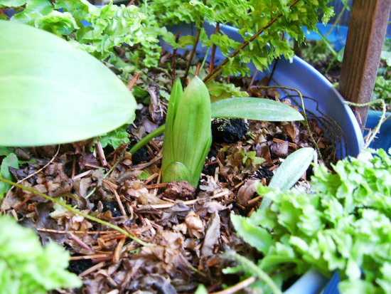 «ö¦¹¦b·sµøµ¡ÂsÄý¹Ï¤ù