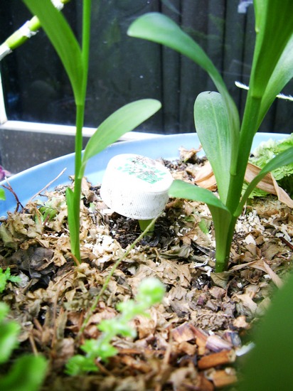 «ö¦¹¦b·sµøµ¡ÂsÄý¹Ï¤ù