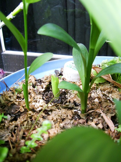 «ö¦¹¦b·sµøµ¡ÂsÄý¹Ï¤ù