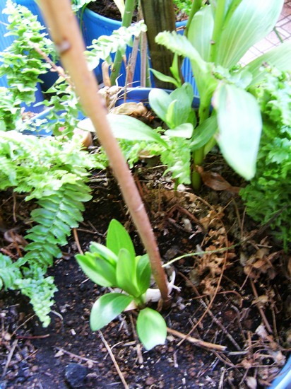 «ö¦¹¦b·sµøµ¡ÂsÄý¹Ï¤ù