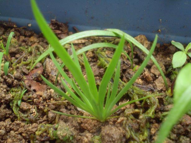 «ö¦¹¦b·sµøµ¡ÂsÄý¹Ï¤ù