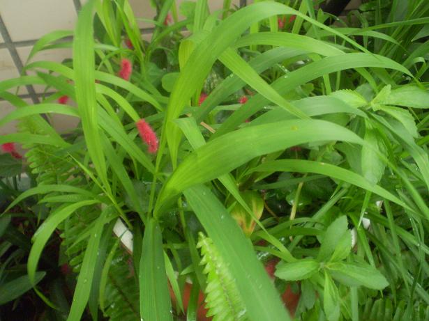 «ö¦¹¦b·sµøµ¡ÂsÄý¹Ï¤ù