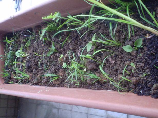 «ö¦¹¦b·sµøµ¡ÂsÄý¹Ï¤ù