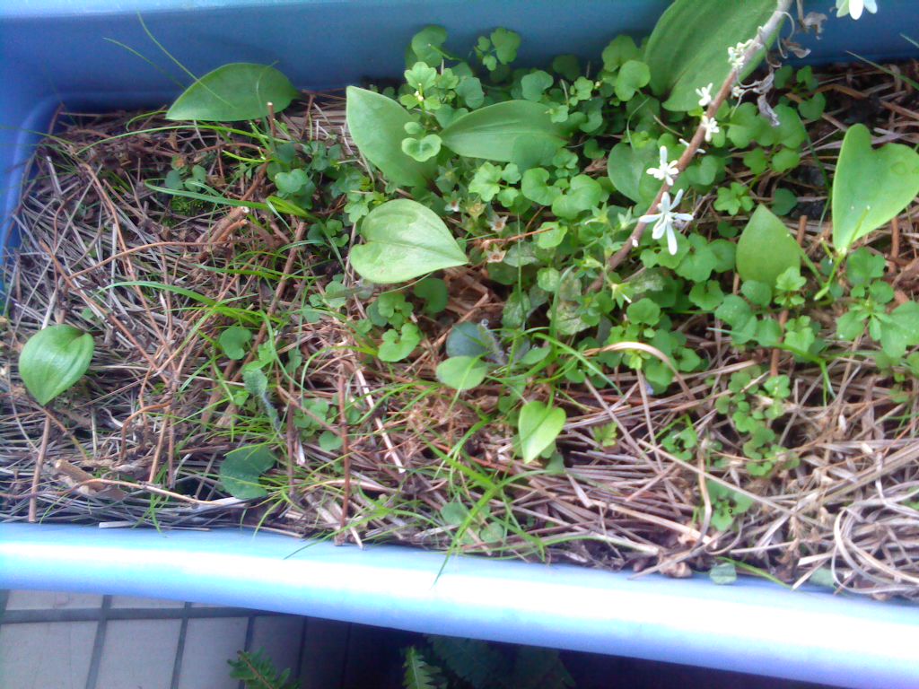 «ö¦¹¦b·sµøµ¡ÂsÄý¹Ï¤ù