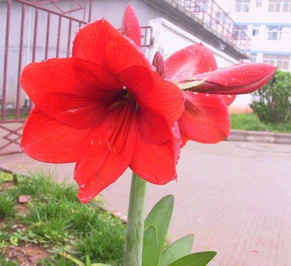 «ö¦¹¦b·sµøµ¡ÂsÄý¹Ï¤ù