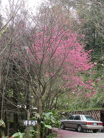 按此在新視窗瀏覽圖片