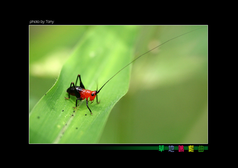 按此在新視窗瀏覽圖片