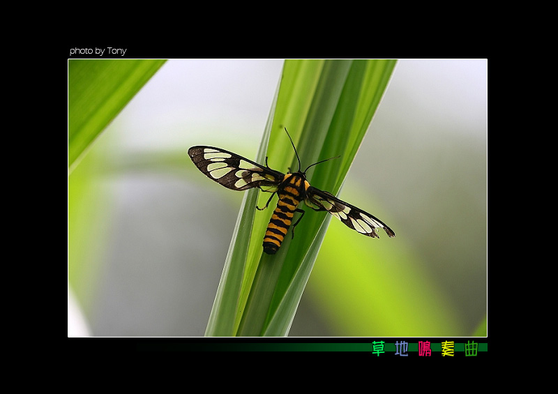 按此在新視窗瀏覽圖片