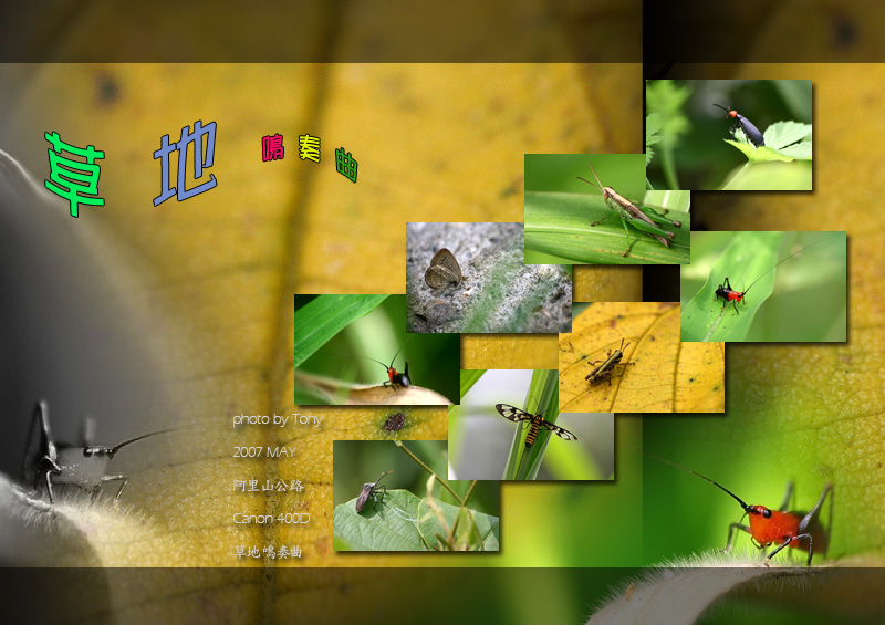 按此在新視窗瀏覽圖片