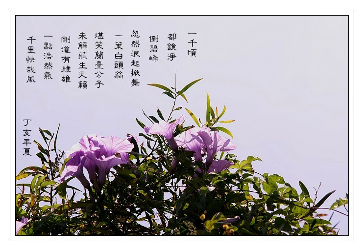 按此在新視窗瀏覽圖片