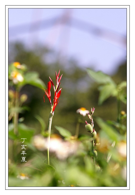 按此在新視窗瀏覽圖片